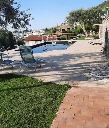 Capri Migliera Villa *